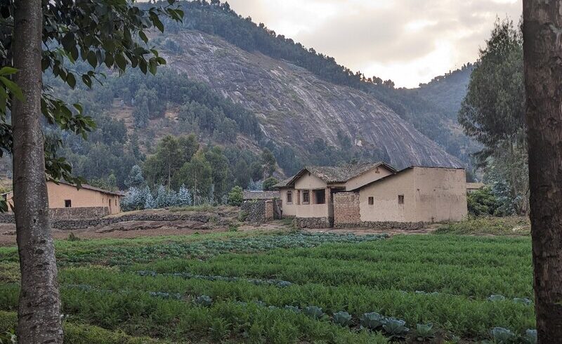 Traditional Rwandan village houses with green crop fields and forested mountain backdrop under cloudy sky BY RWACU TOURS