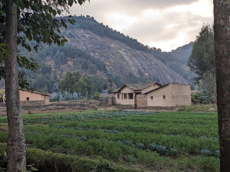 Traditional Rwandan village houses with green crop fields and forested mountain backdrop under cloudy sky BY RWACU TOURS
